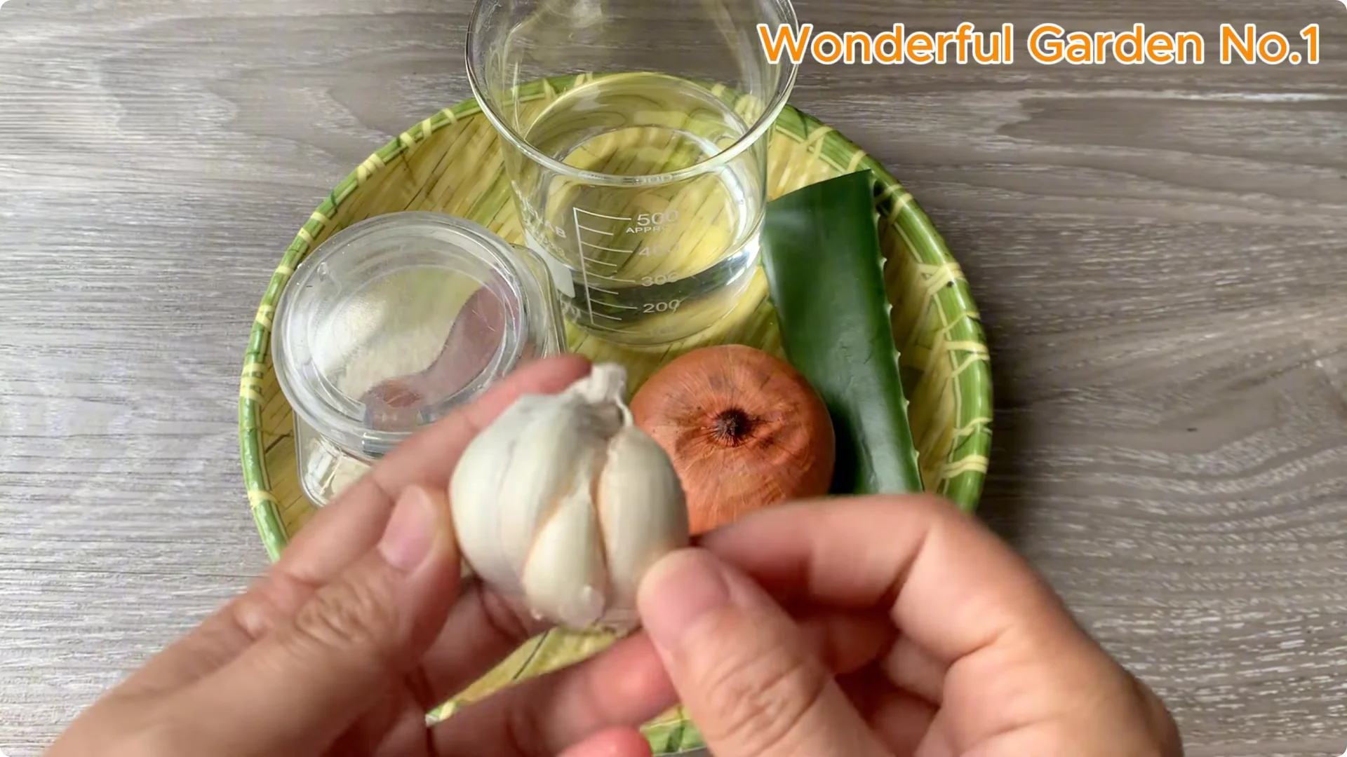 What Happens When You Stick a Rose Stem in an Onion? screenshot 2