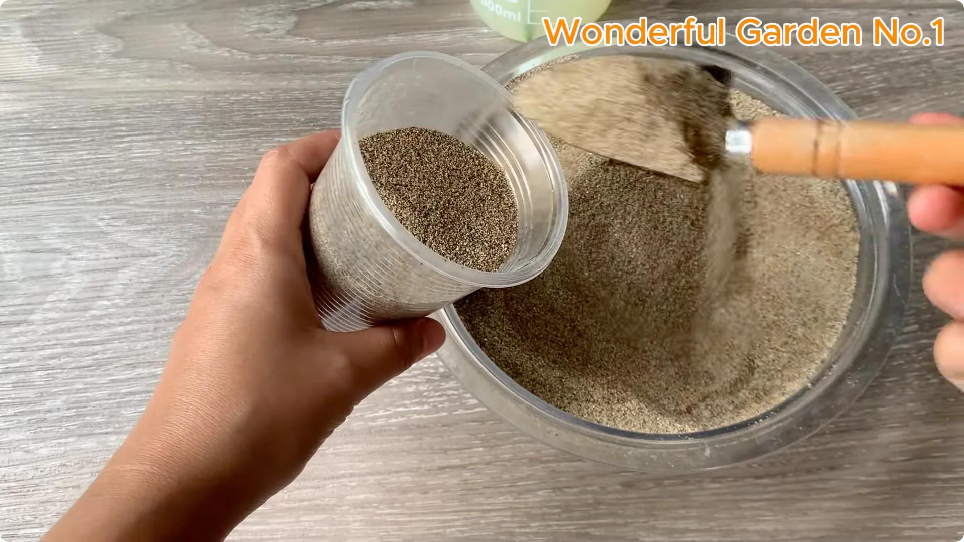 What Happens When You Stick a Rose Stem in an Onion? screenshot 21