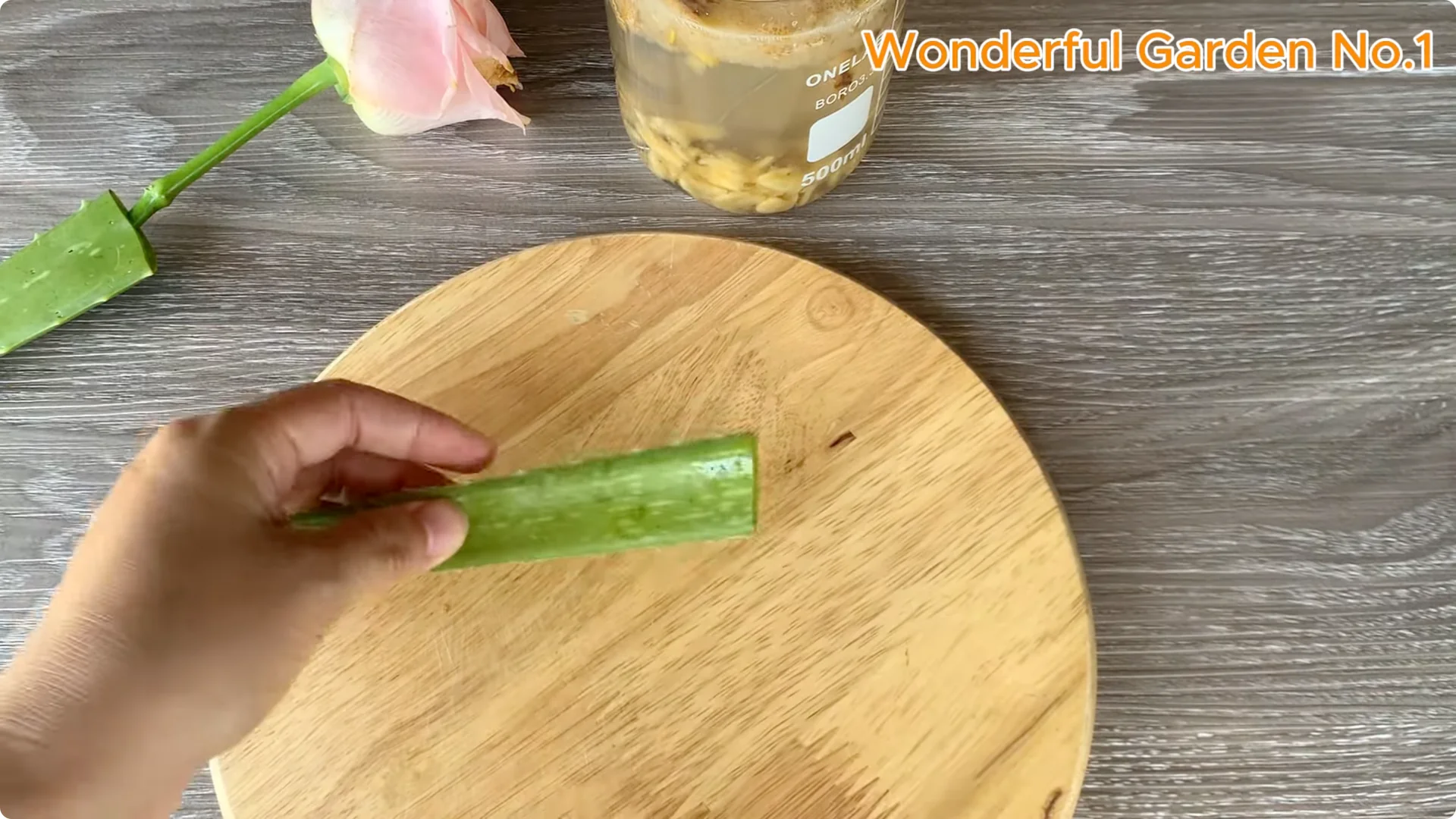 Which Fruit Speeds Up Rose Bud Growth on Stems and Roots? screenshot 11