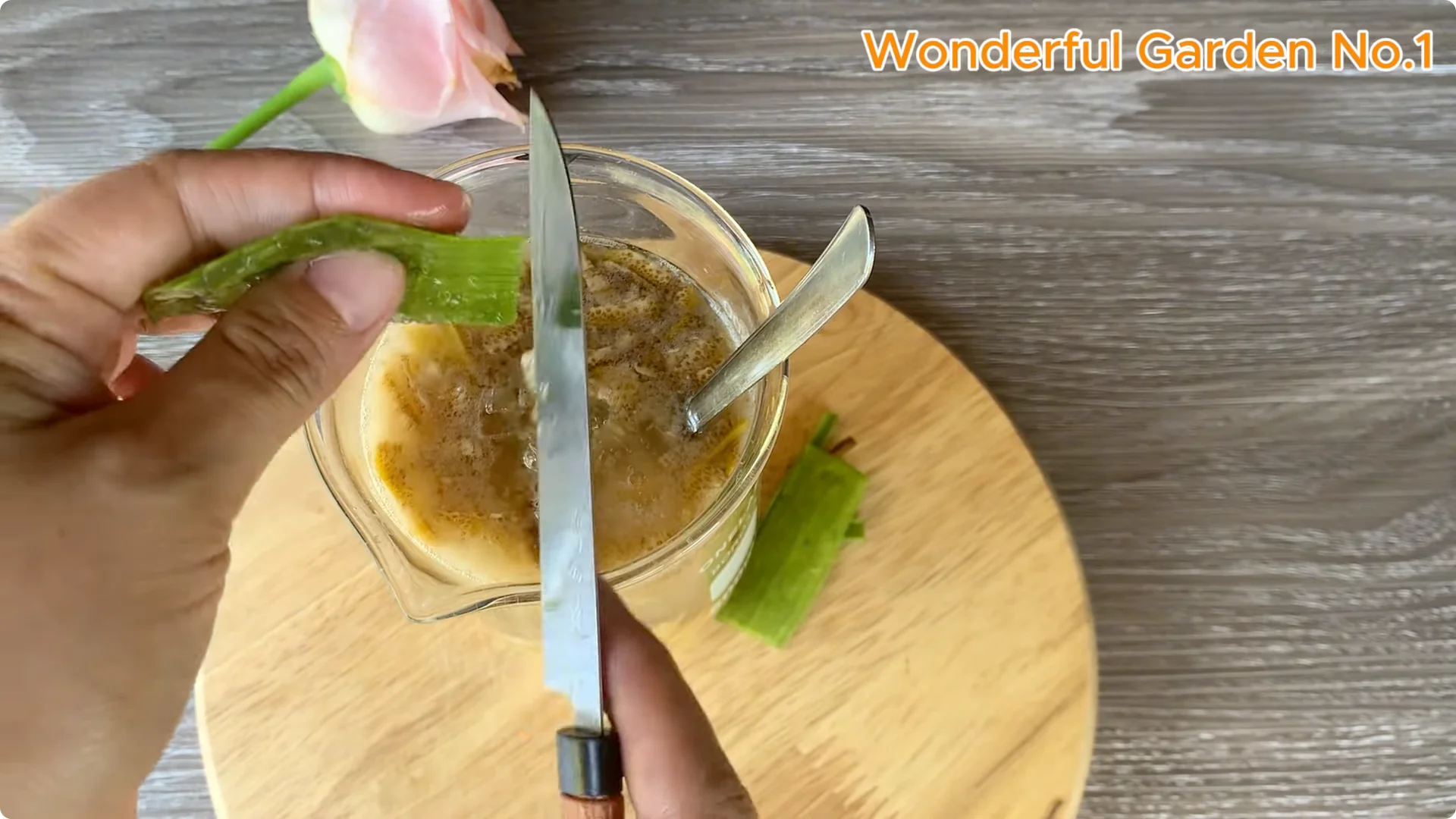 Which Fruit Speeds Up Rose Bud Growth on Stems and Roots? screenshot 12