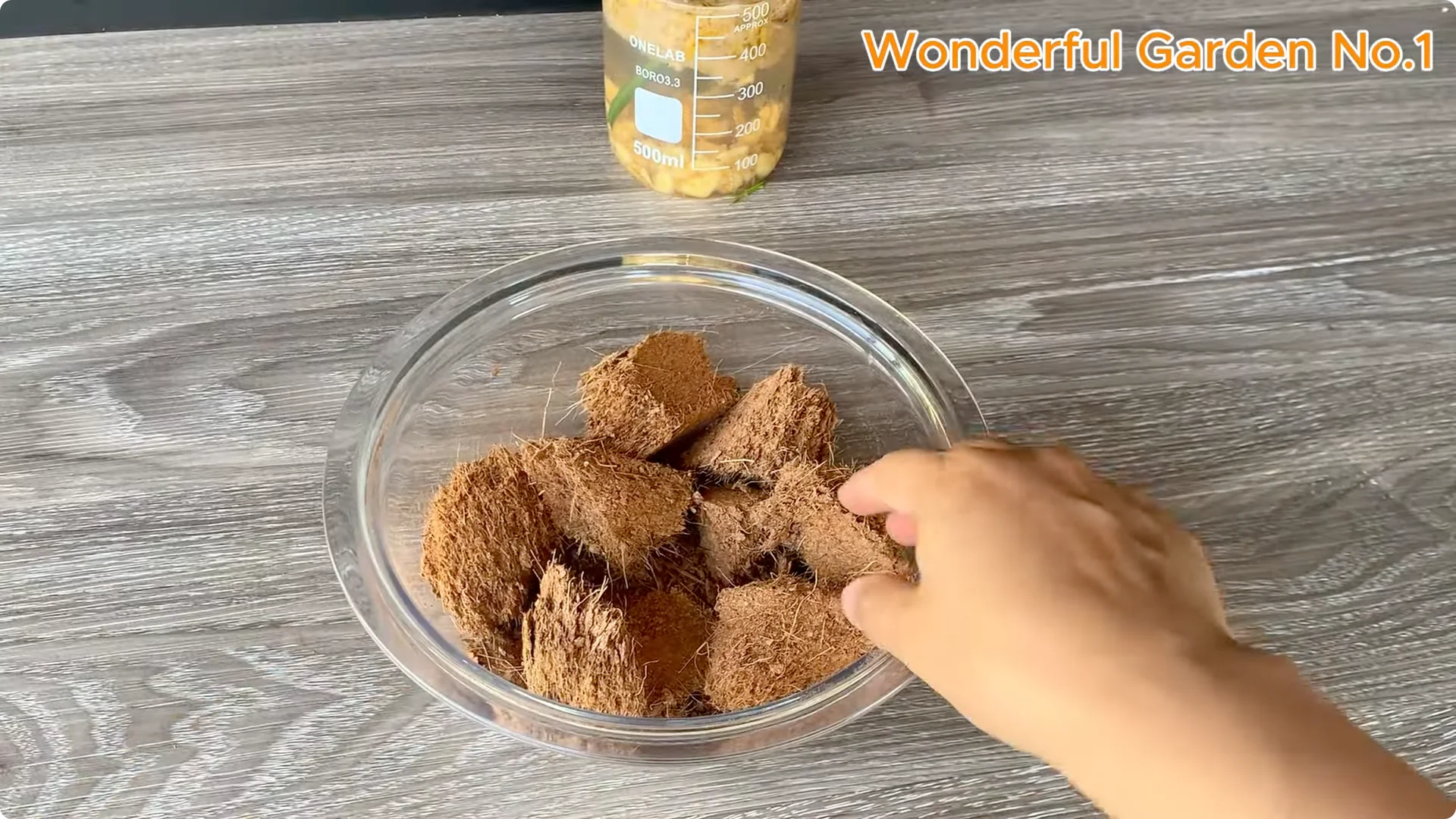 Which Fruit Speeds Up Rose Bud Growth on Stems and Roots? screenshot 13