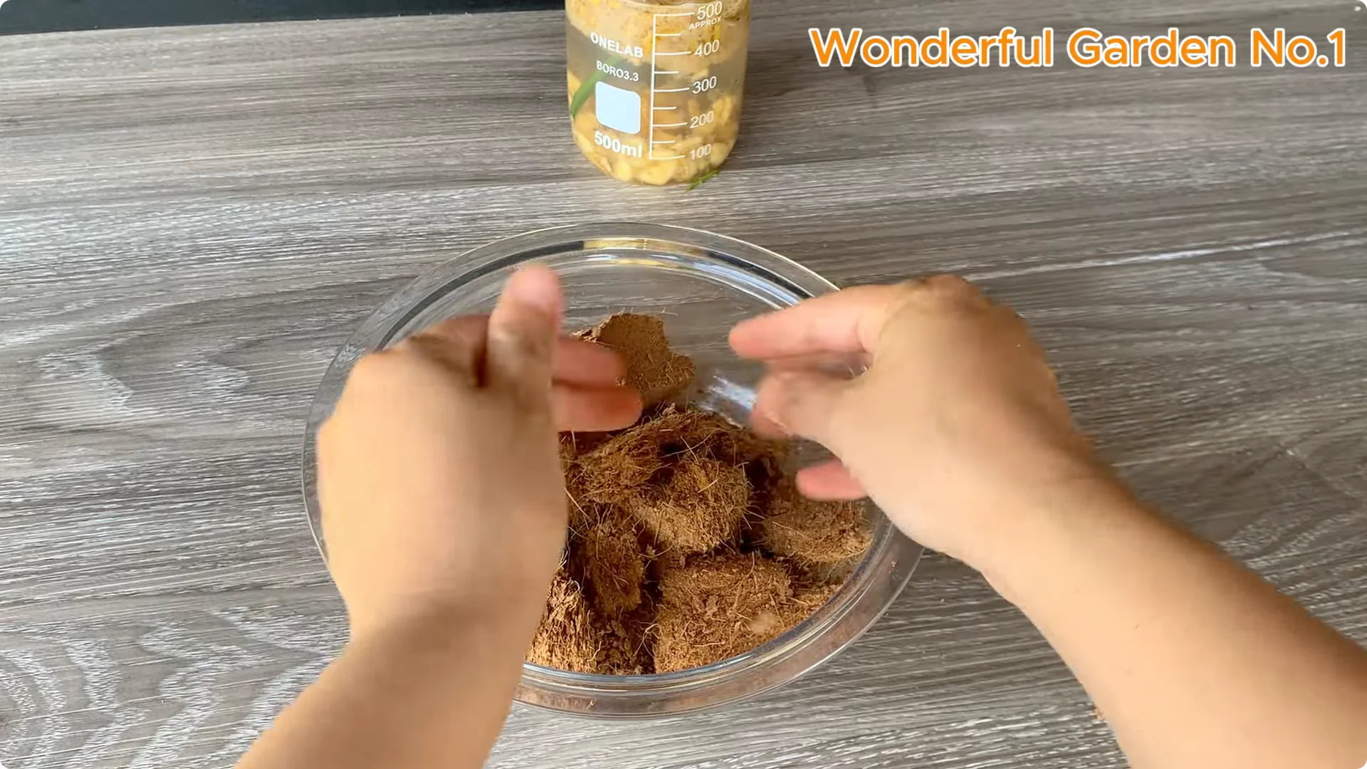 Which Fruit Speeds Up Rose Bud Growth on Stems and Roots? screenshot 14