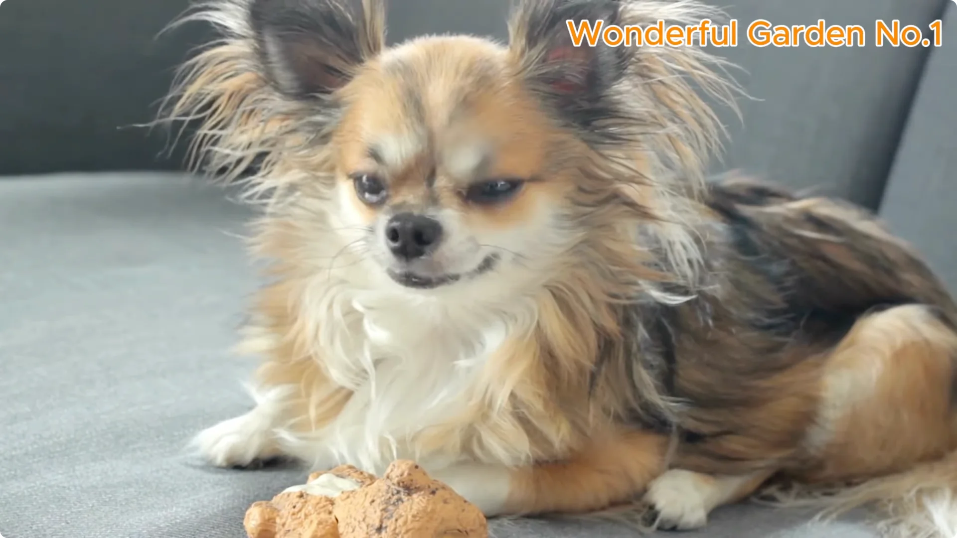 Which Fruit Speeds Up Rose Bud Growth on Stems and Roots? screenshot 20