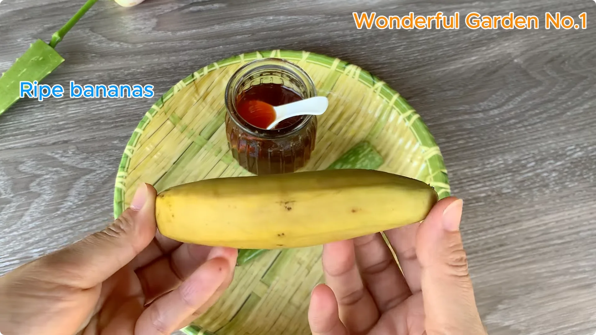 Which Fruit Speeds Up Rose Bud Growth on Stems and Roots? screenshot 4