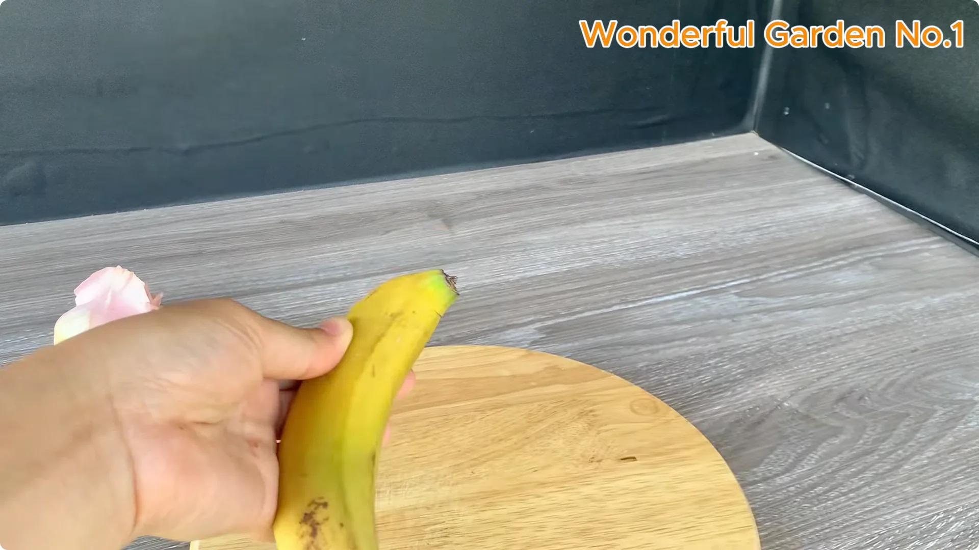 Which Fruit Speeds Up Rose Bud Growth on Stems and Roots? screenshot 7