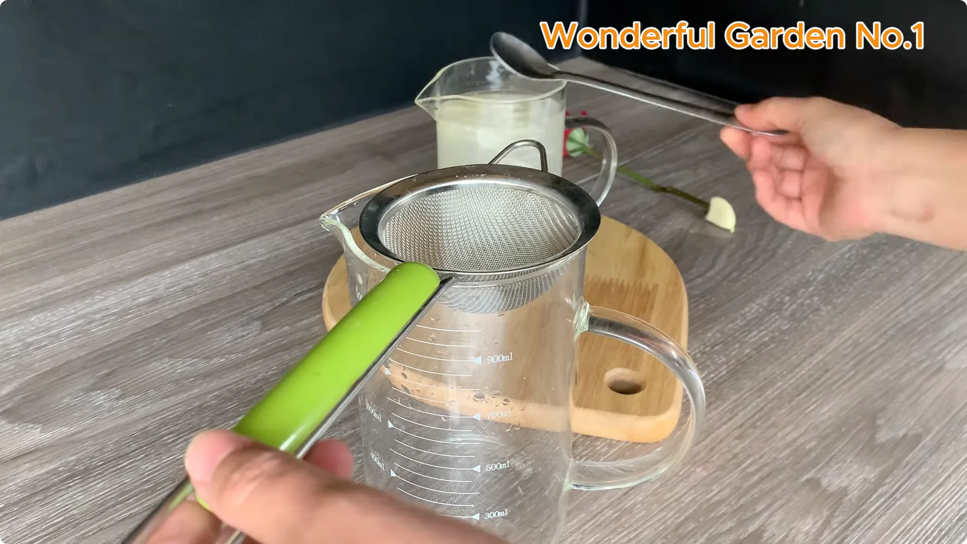 Why Rose Roots Grow on Stems and Keep Blooming screenshot 3