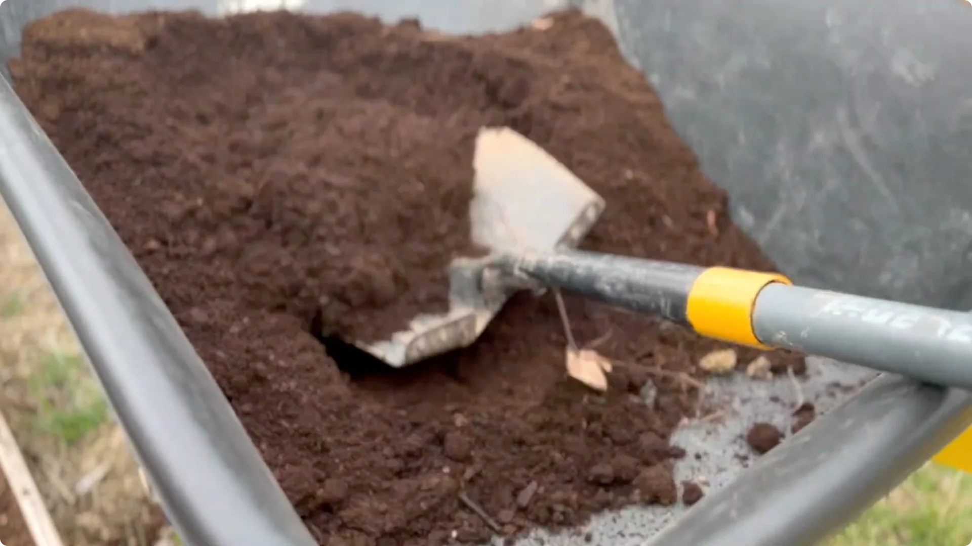 7 Hydrangea Care Mistakes That Could Hurt Your Blooms screenshot 1