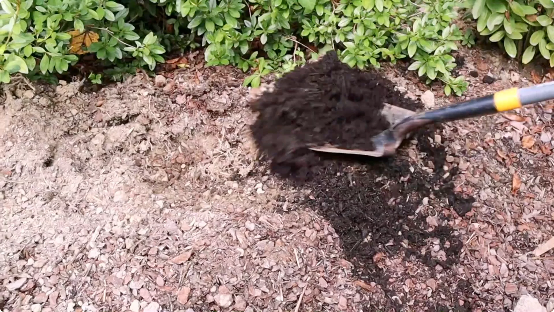 7 Hydrangea Care Mistakes That Could Hurt Your Blooms screenshot 10