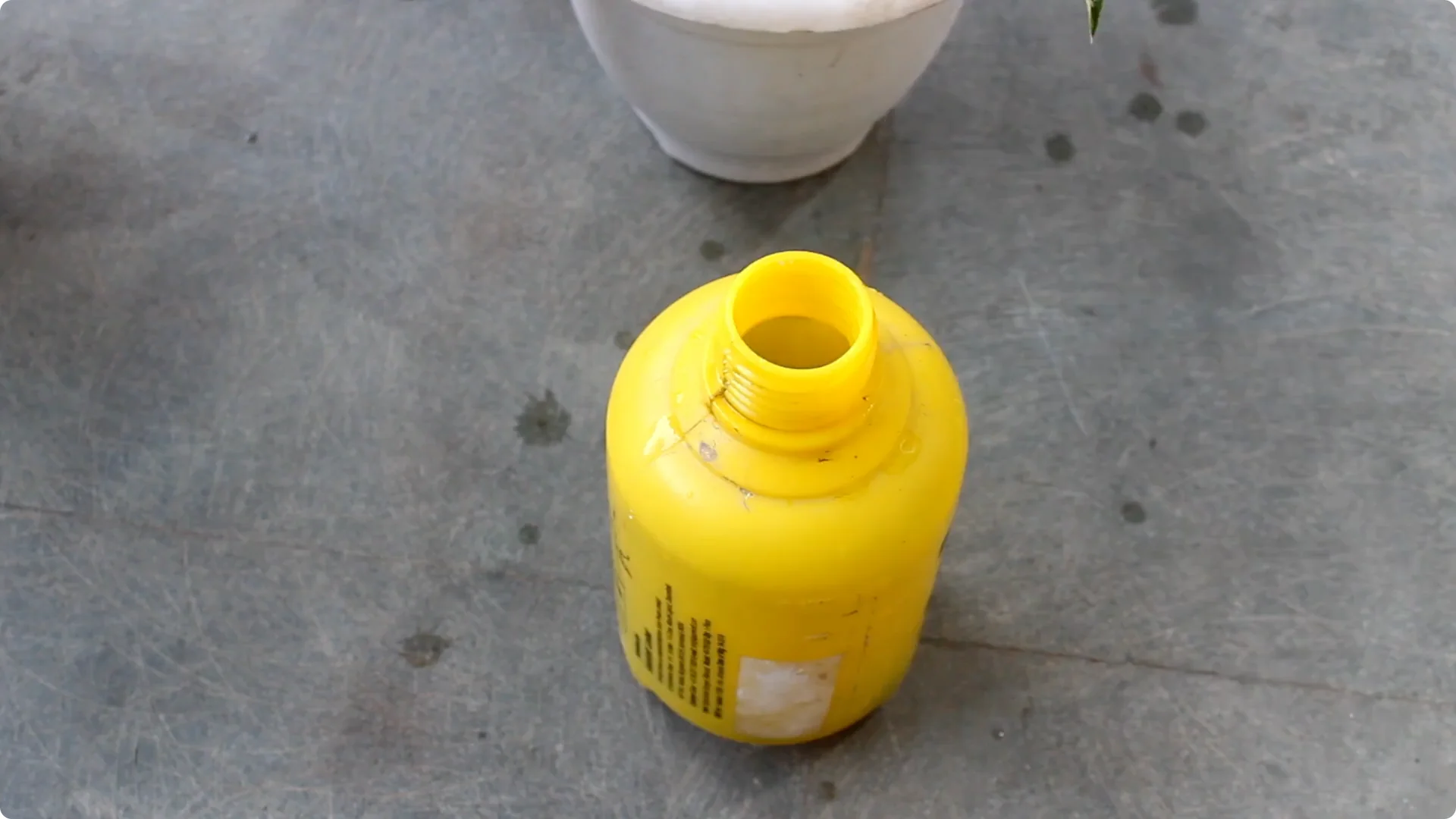 Aglaonema Care Guide: Ideal Soil, Light, Water & Propagation Tips screenshot 11