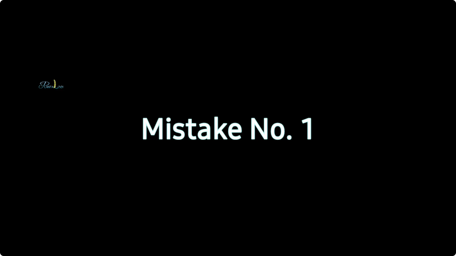 Are You Making These 2 Common ZZ Plant Care Mistakes? screenshot 1