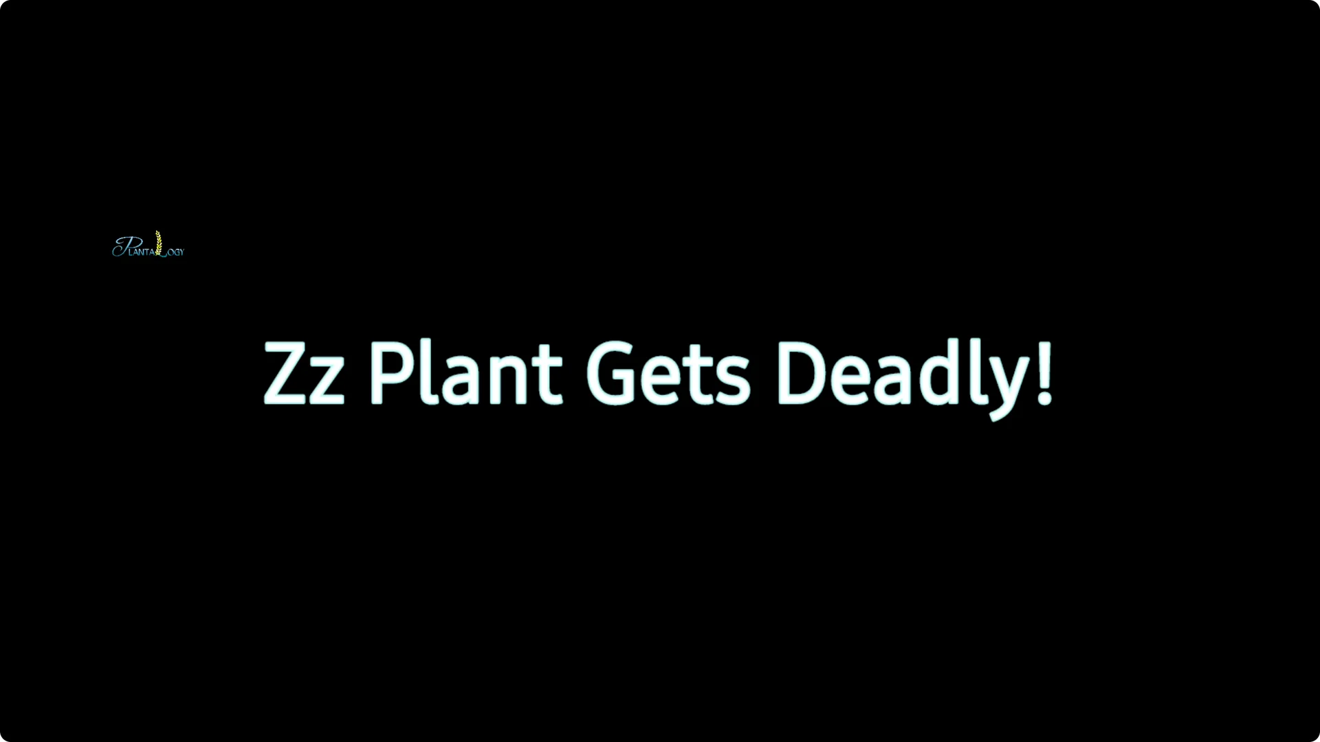 Are You Making These 2 Common ZZ Plant Care Mistakes? screenshot 2