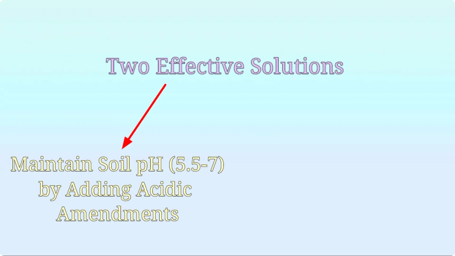 Effective Treatments for Chlorosis and Yellow Leaves on Plants screenshot 6