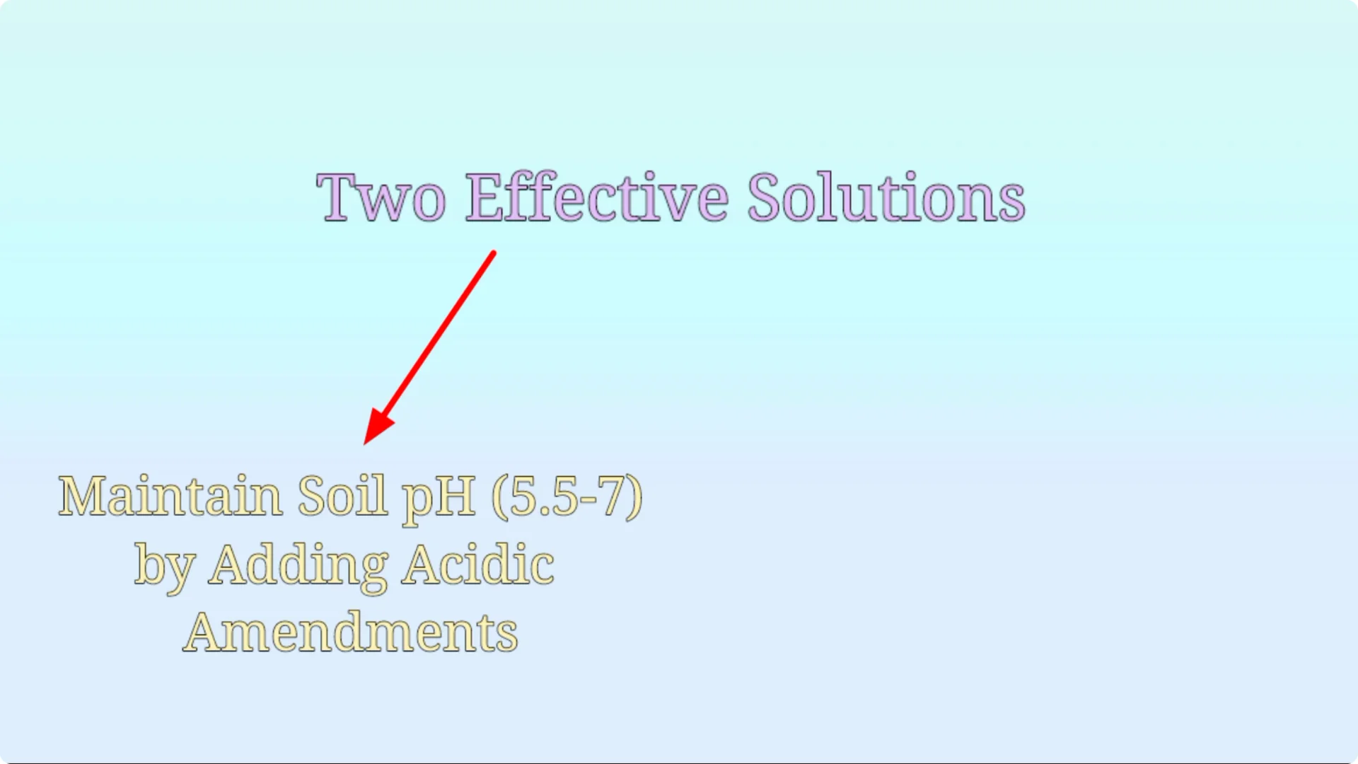 Effective Treatments for Chlorosis and Yellow Leaves on Plants screenshot 7