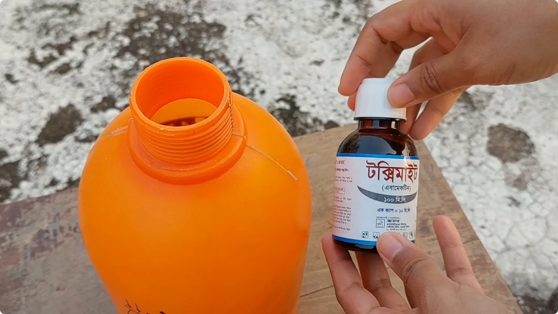 Effective Ways to Eliminate Red Spider Mites on Houseplants screenshot 8