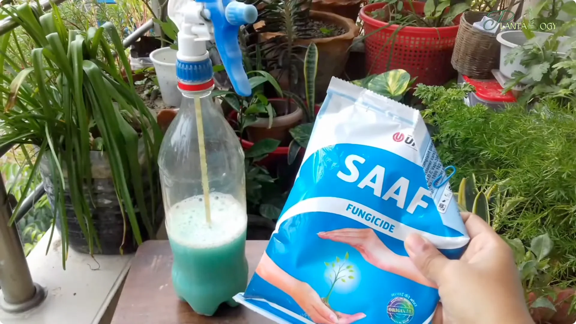 Effective Weekly Control for Mealybugs, Aphids & Whiteflies screenshot 6