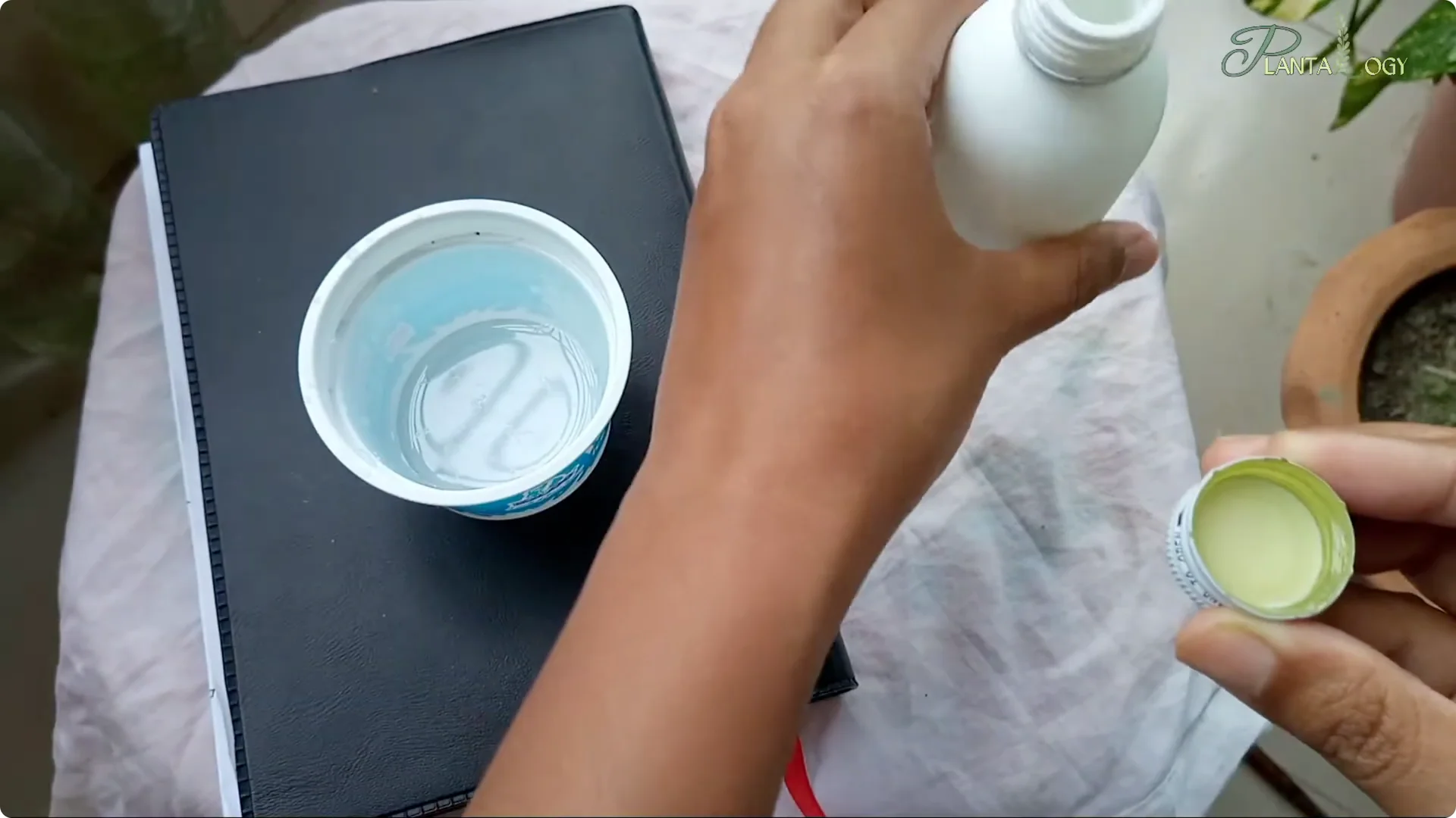 Effective Weekly Control for Mealybugs, Aphids & Whiteflies screenshot 8