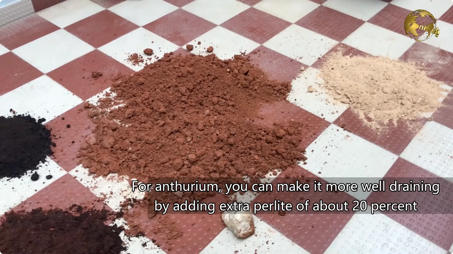 Essential Anthurium Care Tips for Vibrant Indoor Blooms screenshot 3