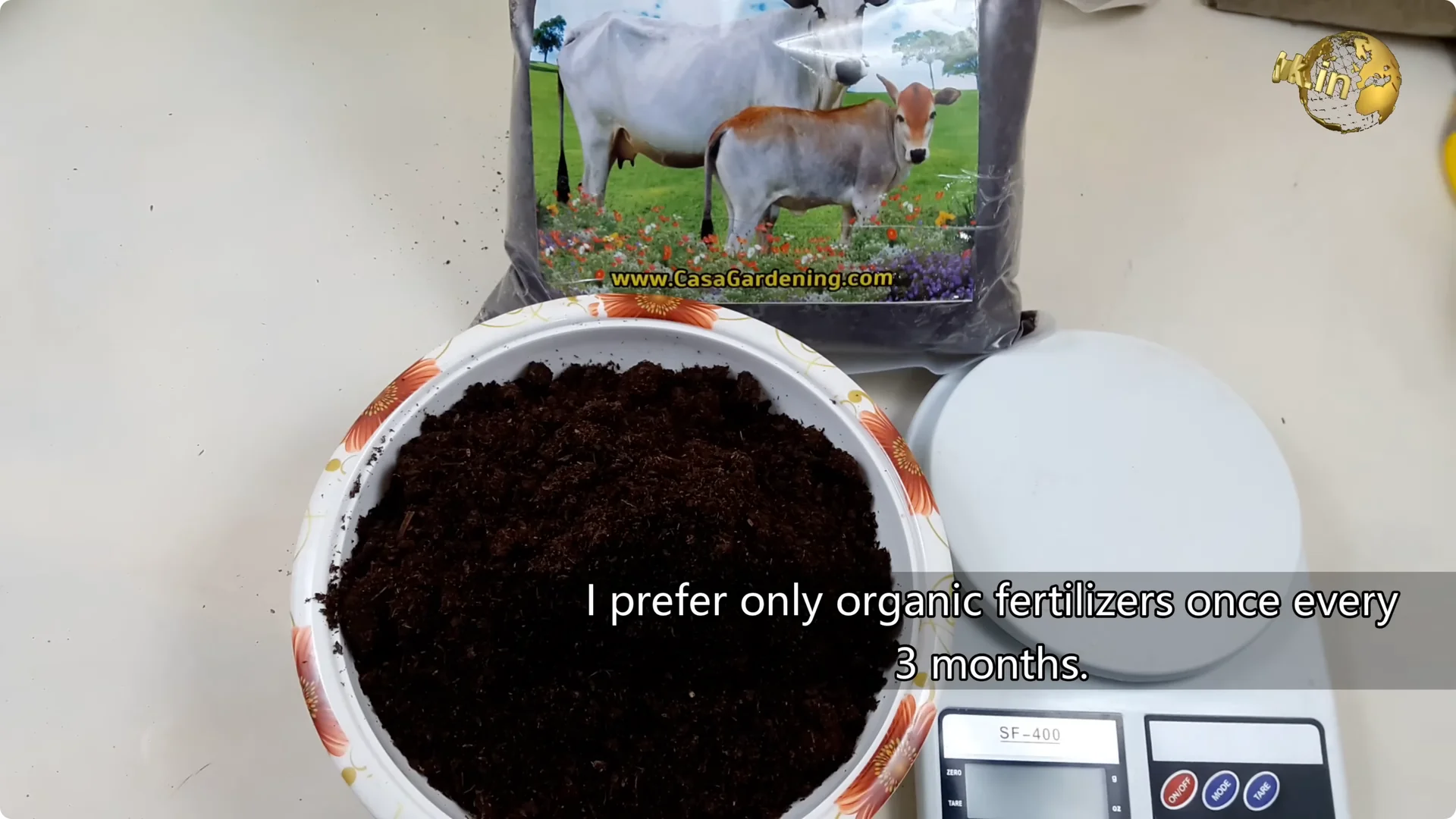 Essential Anthurium Care Tips for Vibrant Indoor Blooms screenshot 4