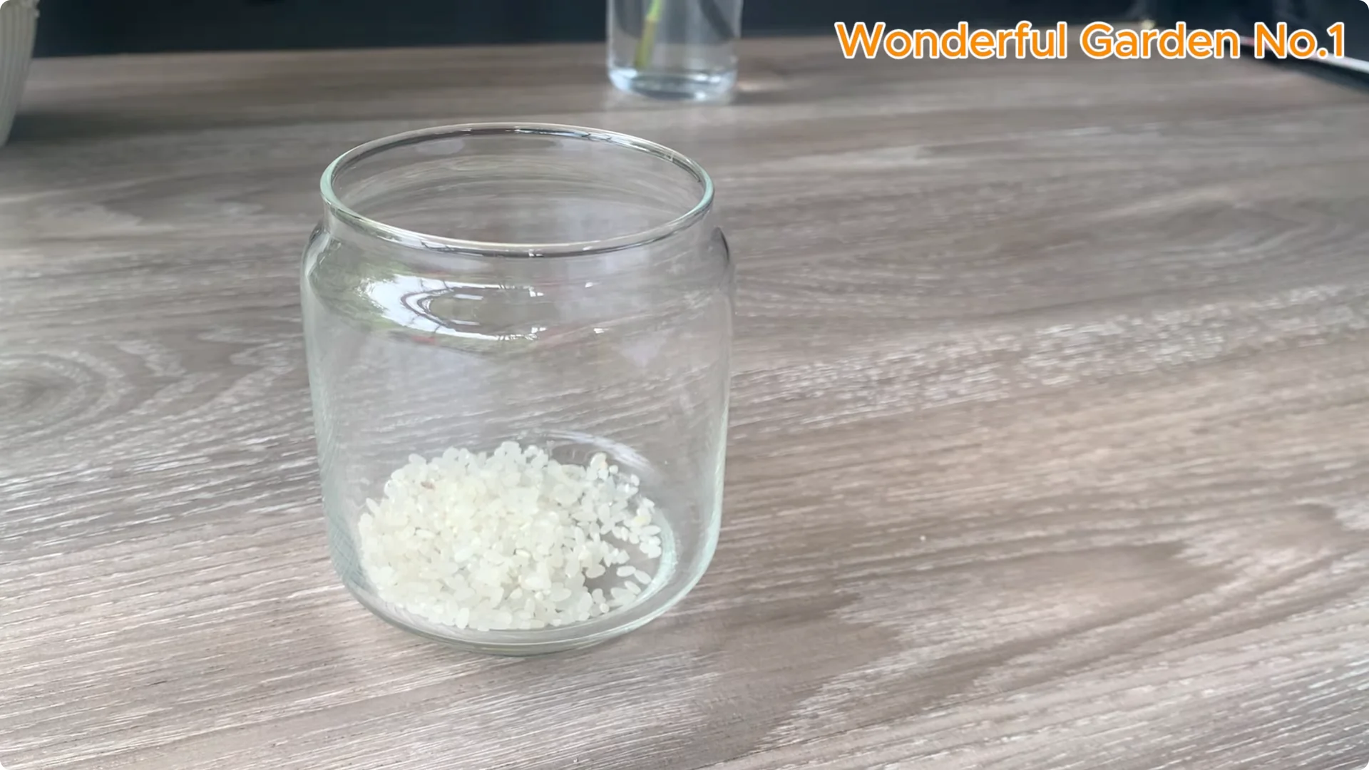 How 1 Cup Helps Rose Branches Root and Bloom Year-Round screenshot 1