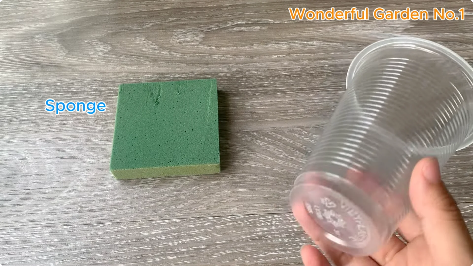 How 1 Cup Helps Rose Branches Root and Bloom Year-Round screenshot 10