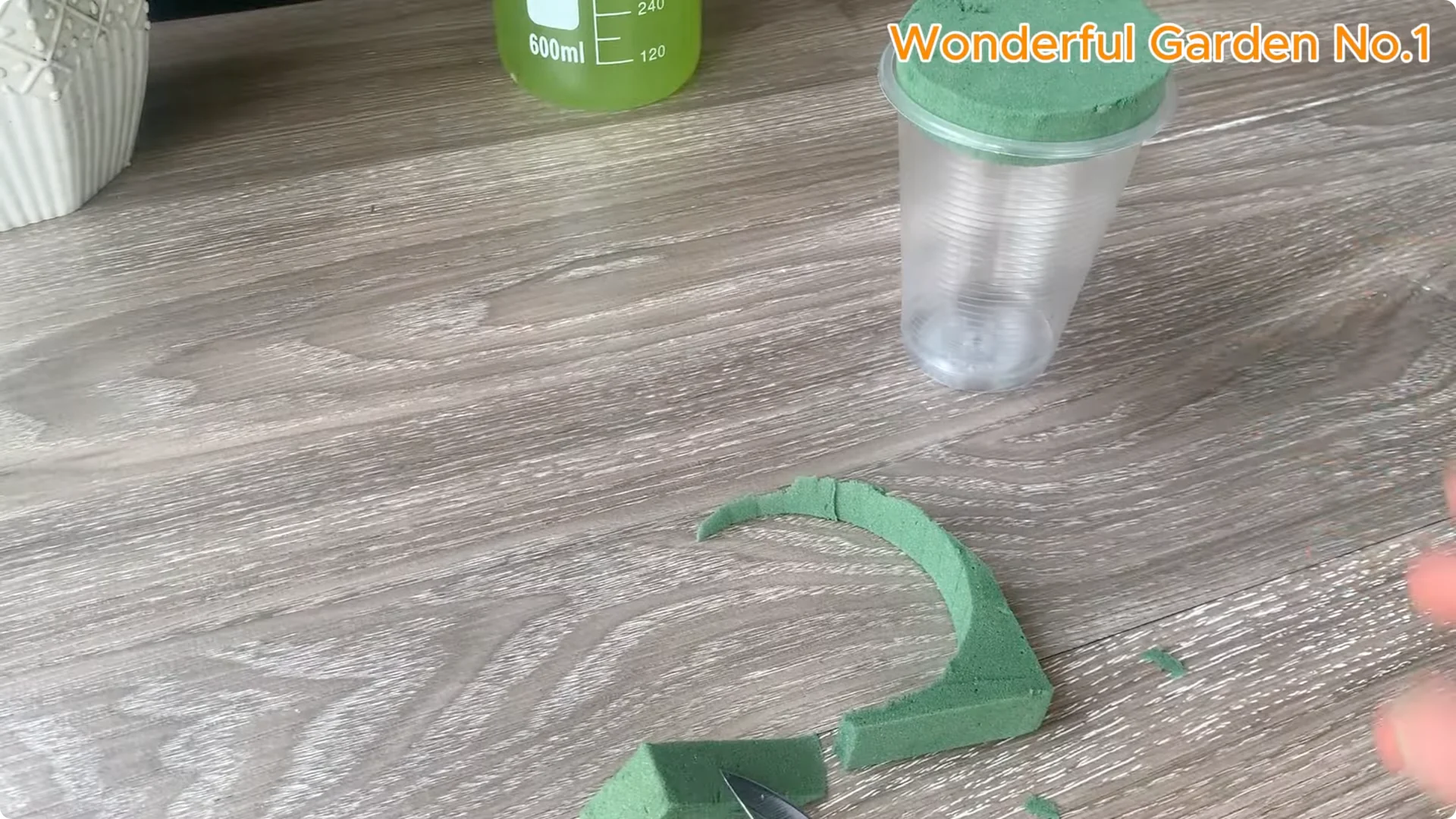 How 1 Cup Helps Rose Branches Root and Bloom Year-Round screenshot 11