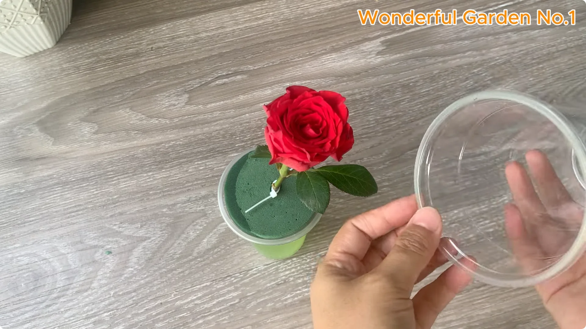 How 1 Cup Helps Rose Branches Root and Bloom Year-Round screenshot 12