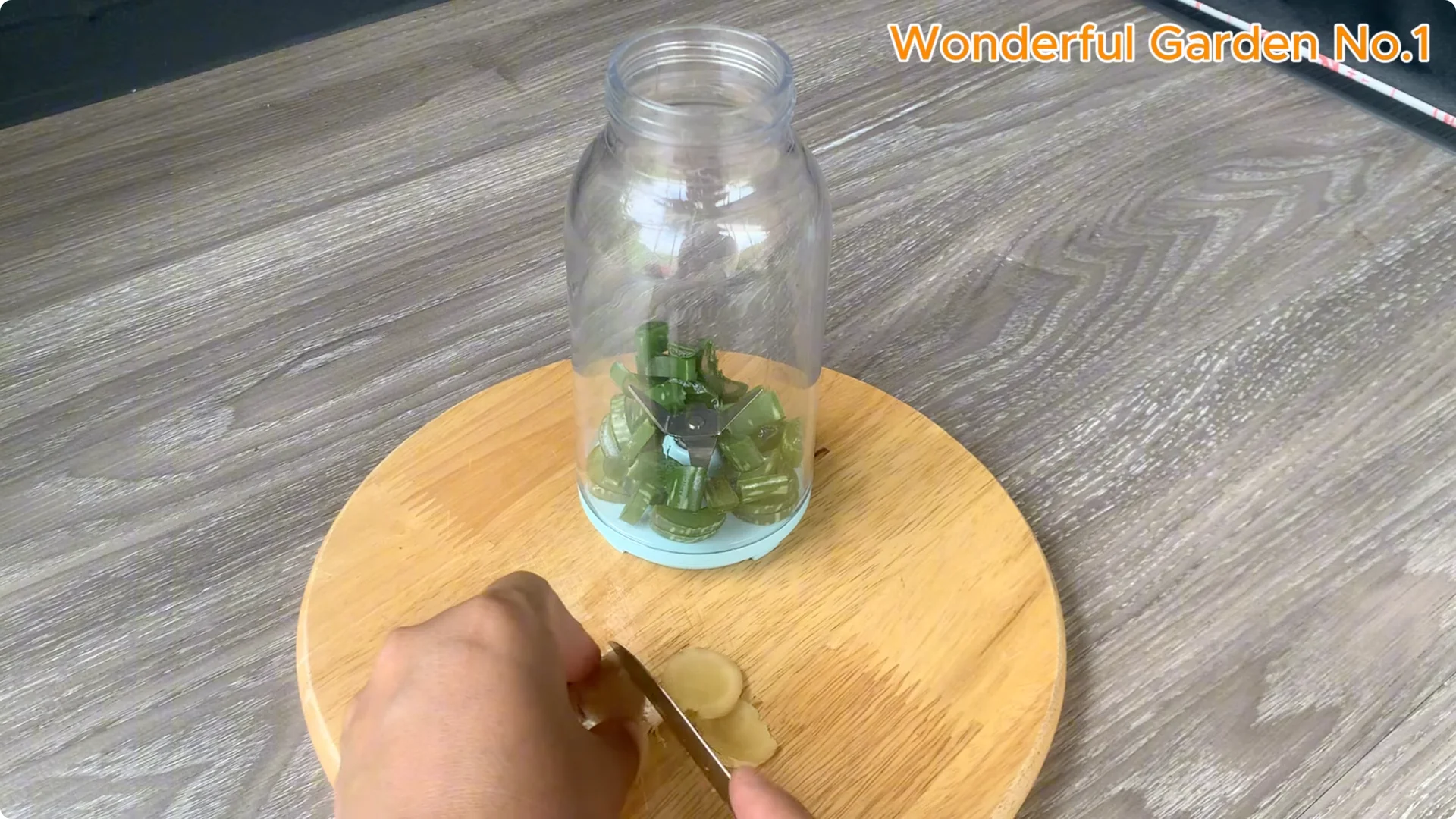 How 1 Cup Helps Rose Branches Root and Bloom Year-Round screenshot 3