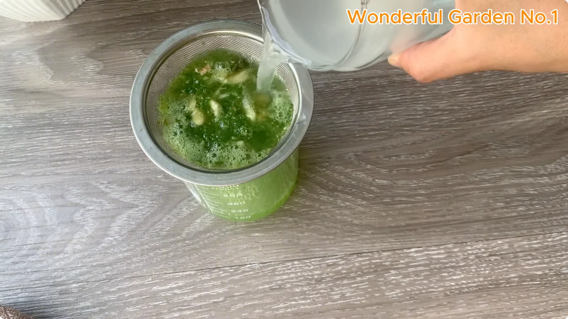 How 1 Cup Helps Rose Branches Root and Bloom Year-Round screenshot 5