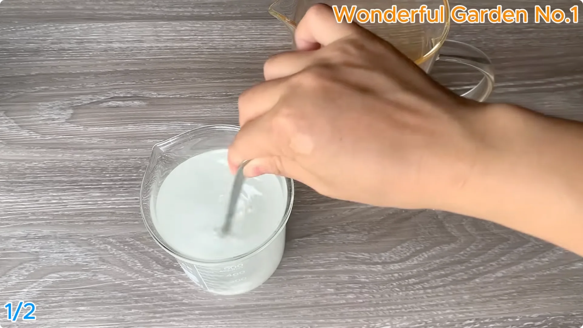 How 1 Spoon Helps Rose Cuttings Root and Bloom Year-Round screenshot 3