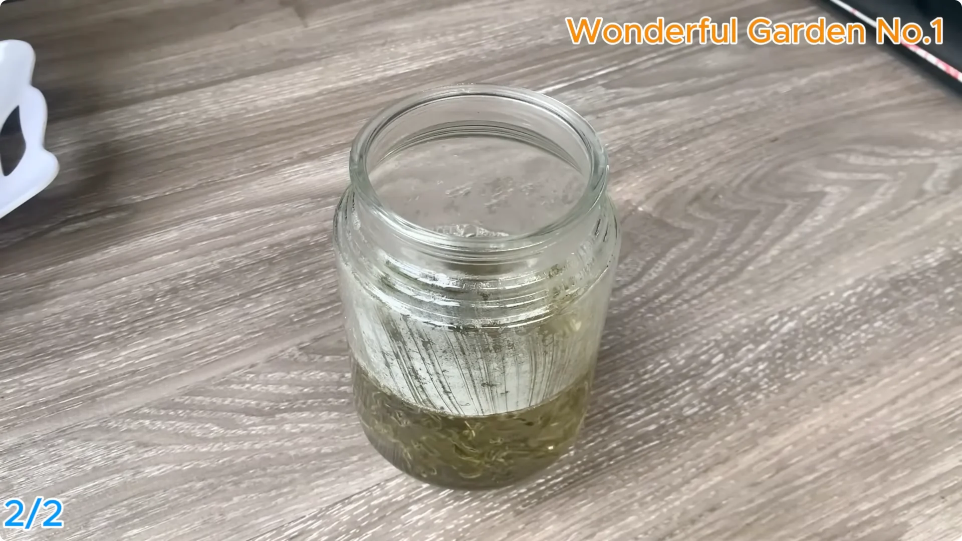 How 1 Spoon Helps Rose Cuttings Root and Bloom Year-Round screenshot 7