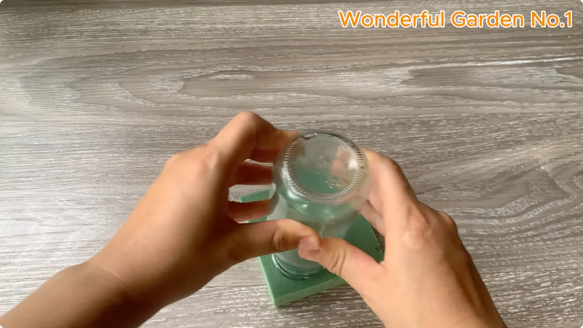 How 1 Teaspoon Helps Red Rose Cuttings Root and Bloom Fast screenshot 3