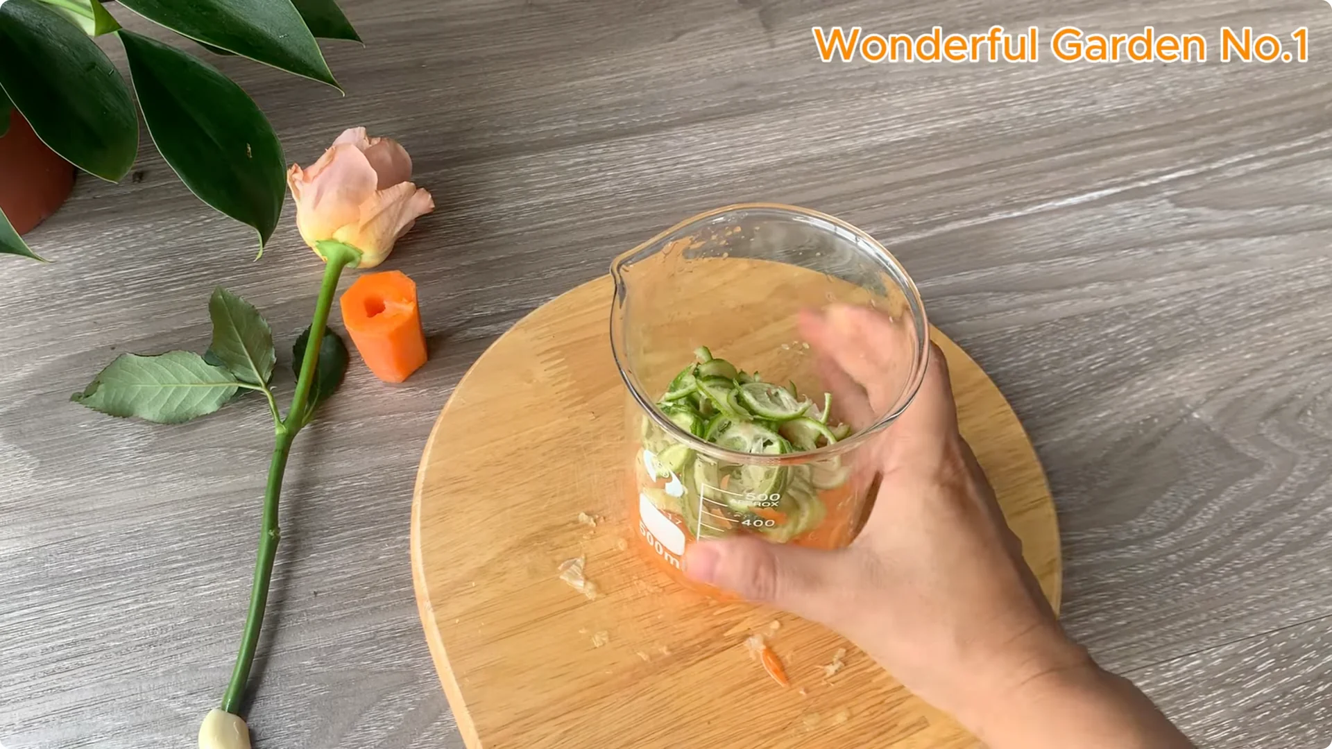 How a Rose Branch Grows 999 Roots Overnight in a Carrot screenshot 4