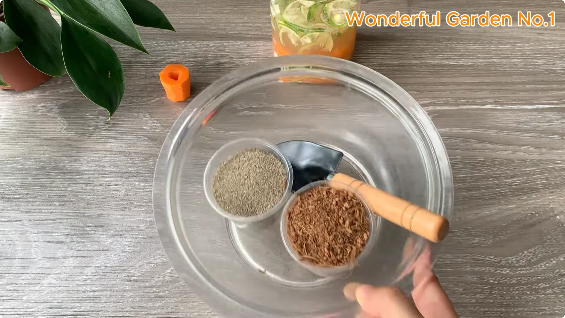 How a Rose Branch Grows 999 Roots Overnight in a Carrot screenshot 5