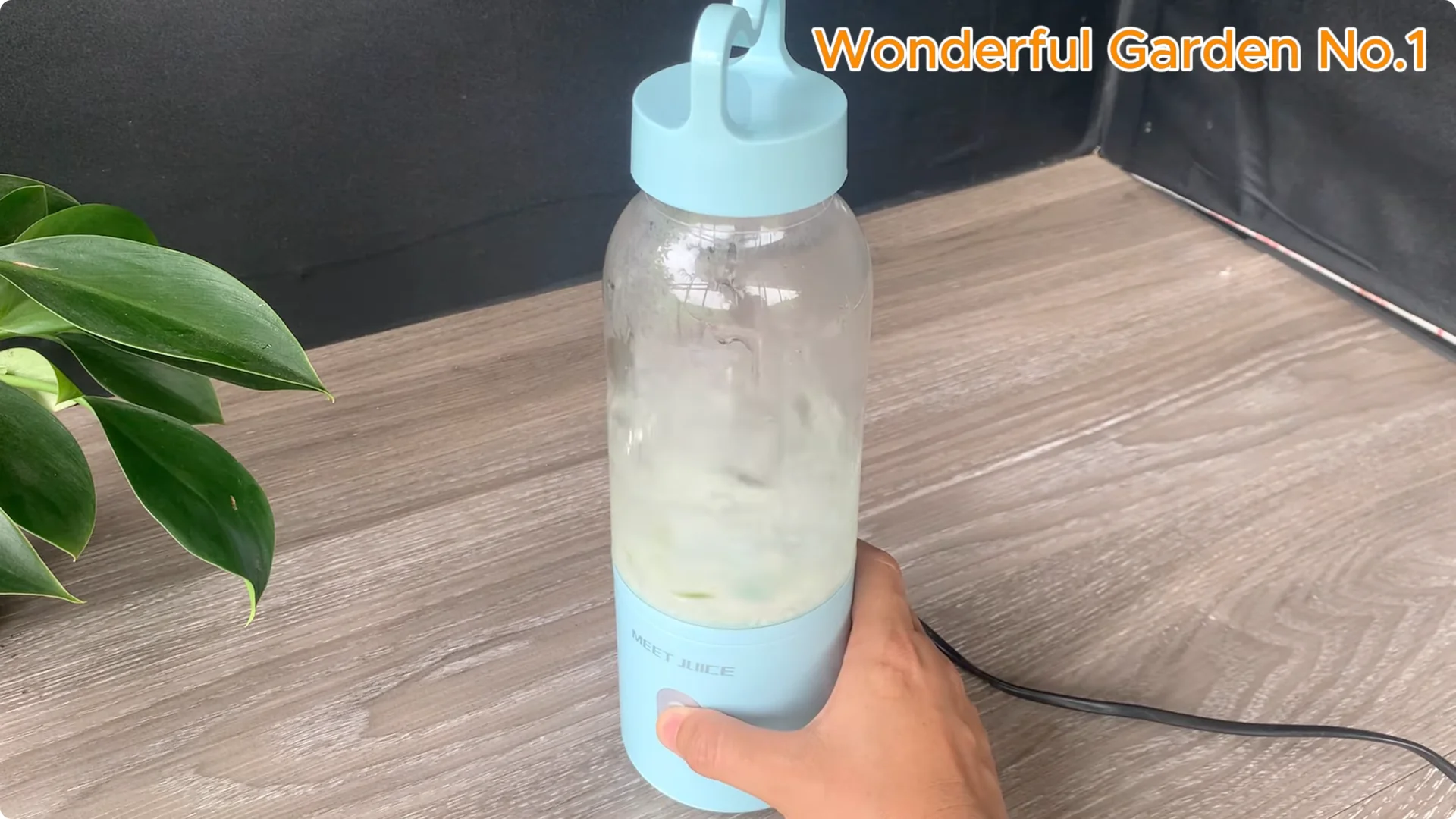 How Aloe Vera and Rice Help Rose Cuttings Root Fast screenshot 3