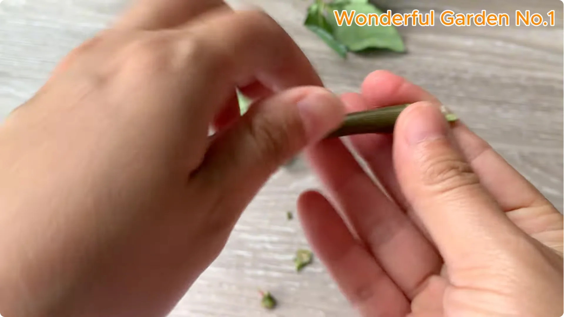 How Did 777 Rose Roots Appear Overnight? screenshot 2