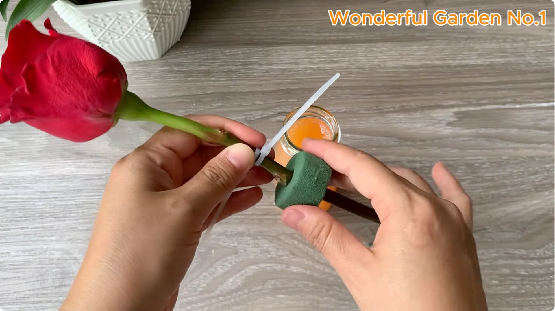 How Did 777 Rose Roots Appear Overnight? screenshot 4