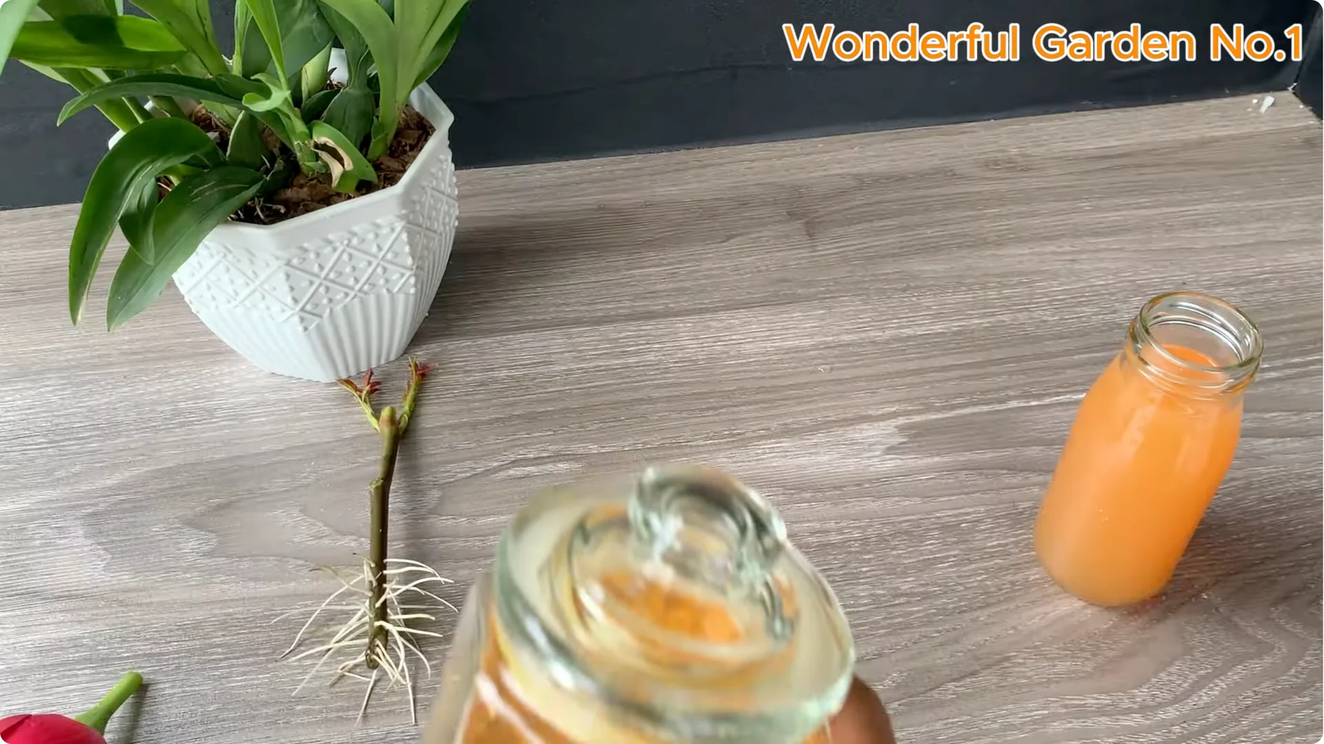 How Did 777 Rose Roots Appear Overnight? screenshot 6