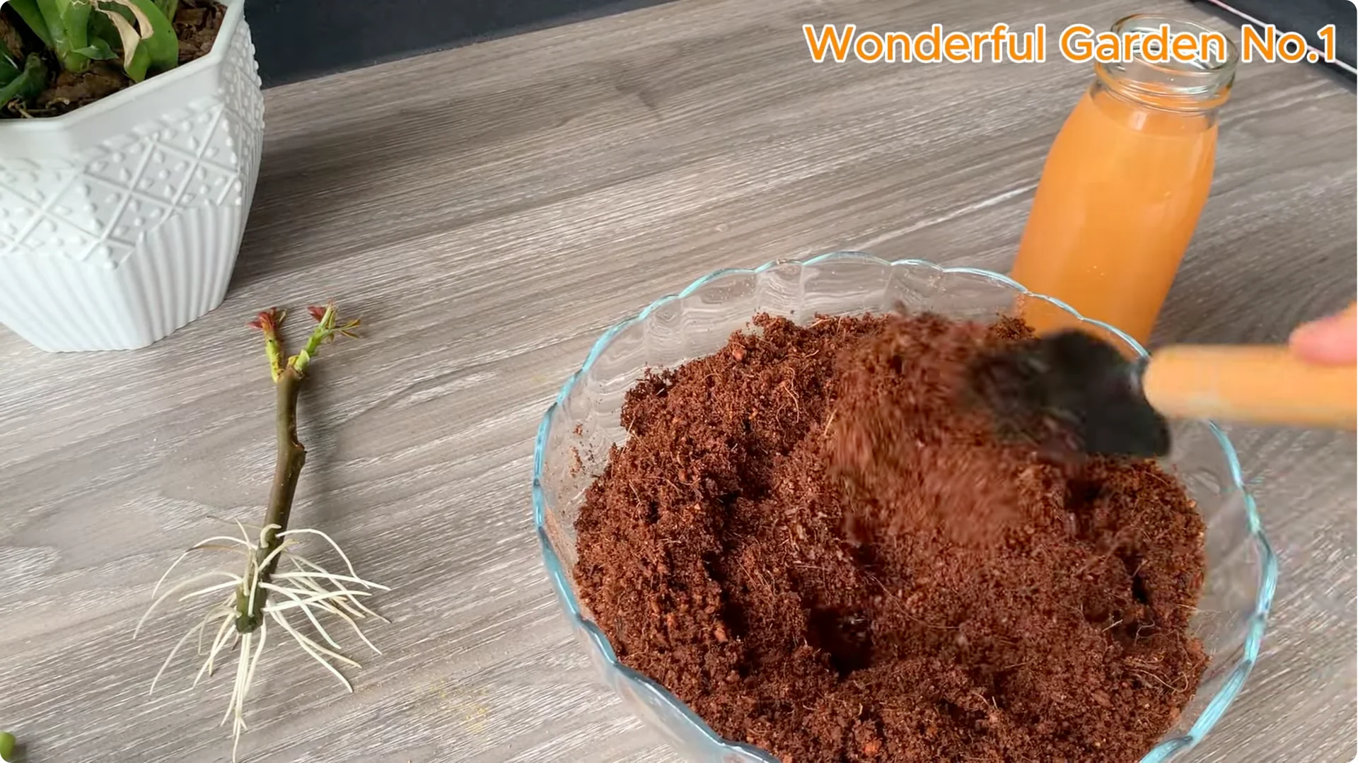 How Did 777 Rose Roots Appear Overnight? screenshot 7