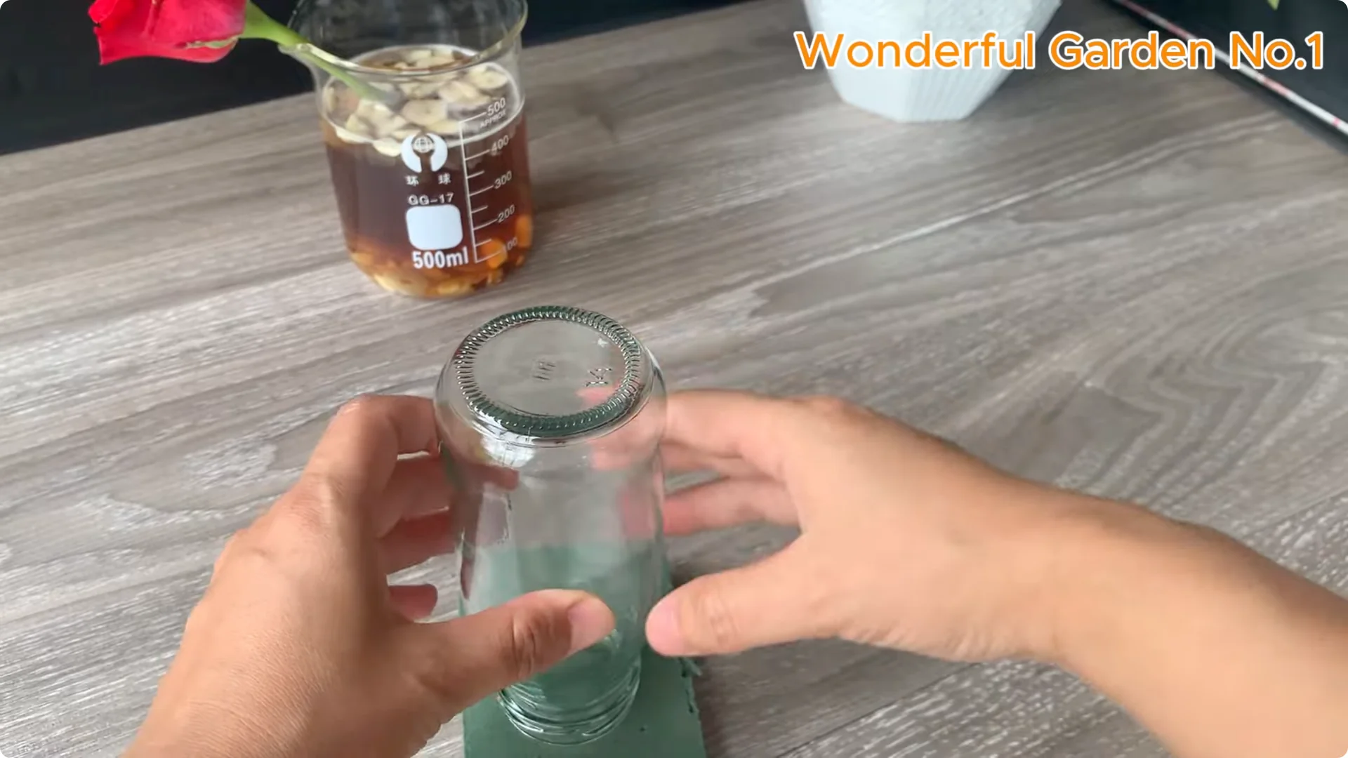 How Did Red Rose Boost Roots and Buds by 500% Overnight? screenshot 3