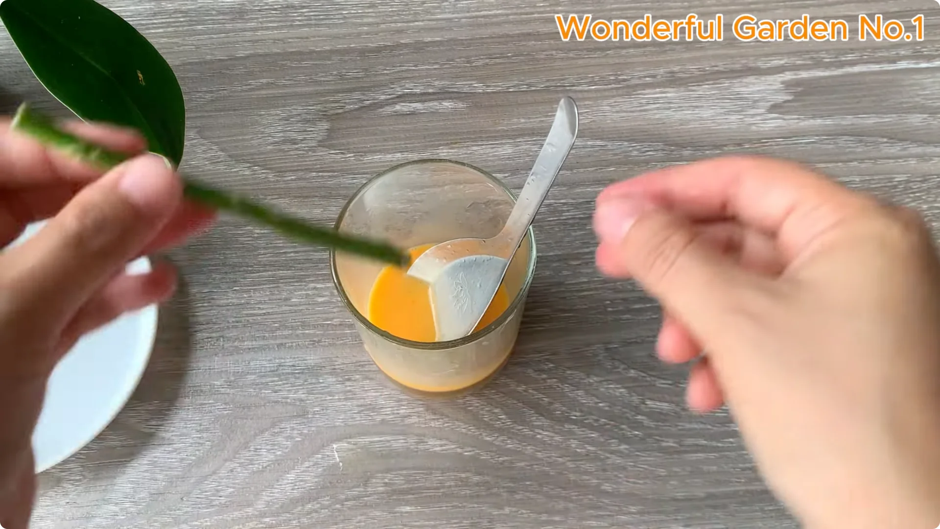 How Just 1 Cup Helps Rose Cuttings Root and Bloom Year-Round screenshot 2