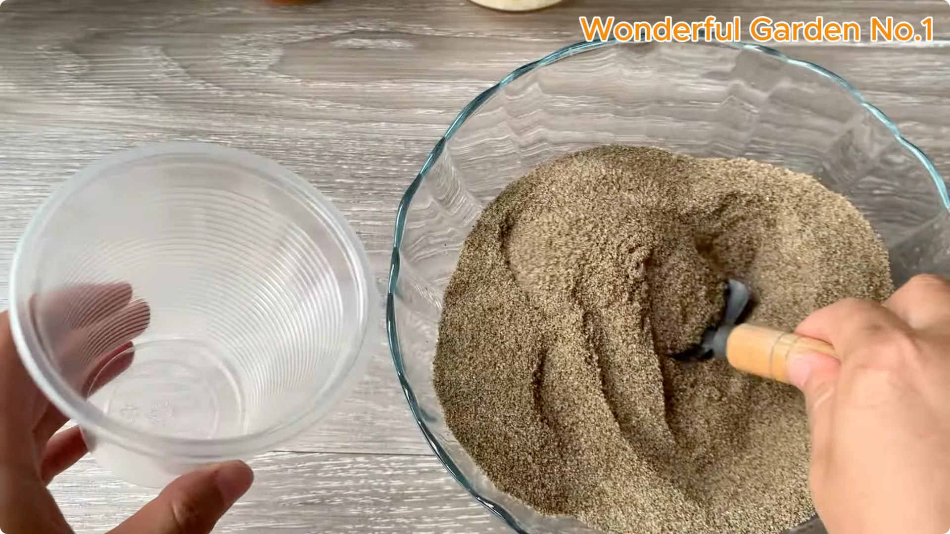 How One Bread Trick Makes Rose Cuttings Root and Bloom Year-Round screenshot 4