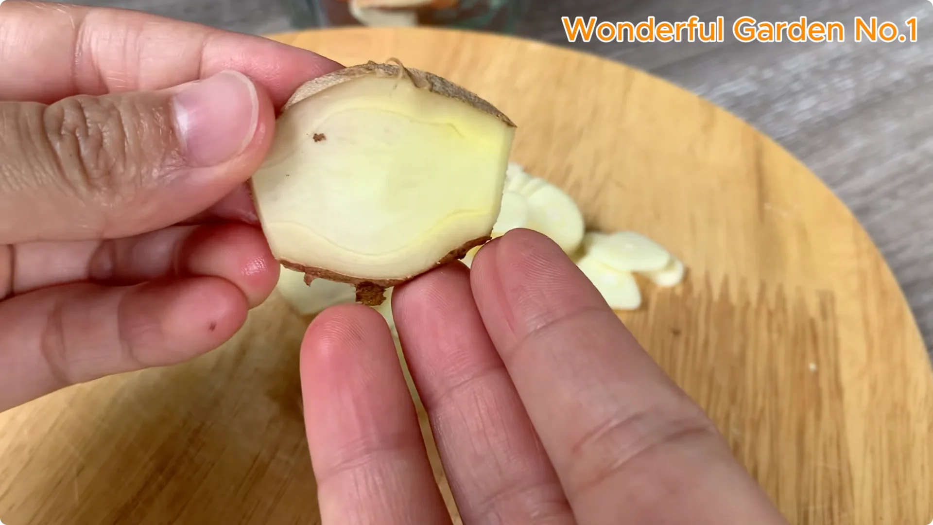 How One Rose Cutting Can Grow Hundreds of Roots screenshot 2