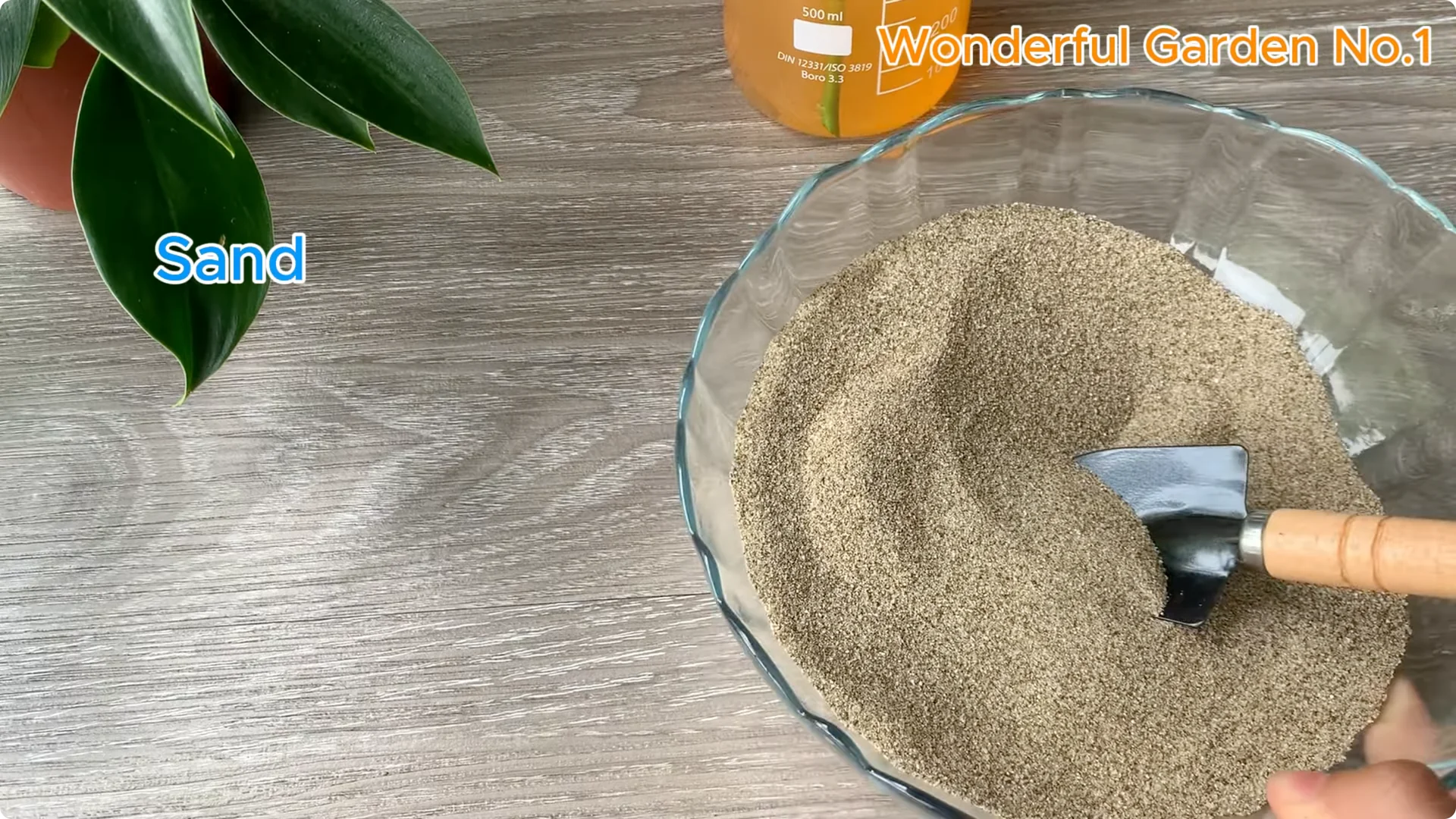 How One Rose Cutting Can Grow Hundreds of Roots screenshot 9