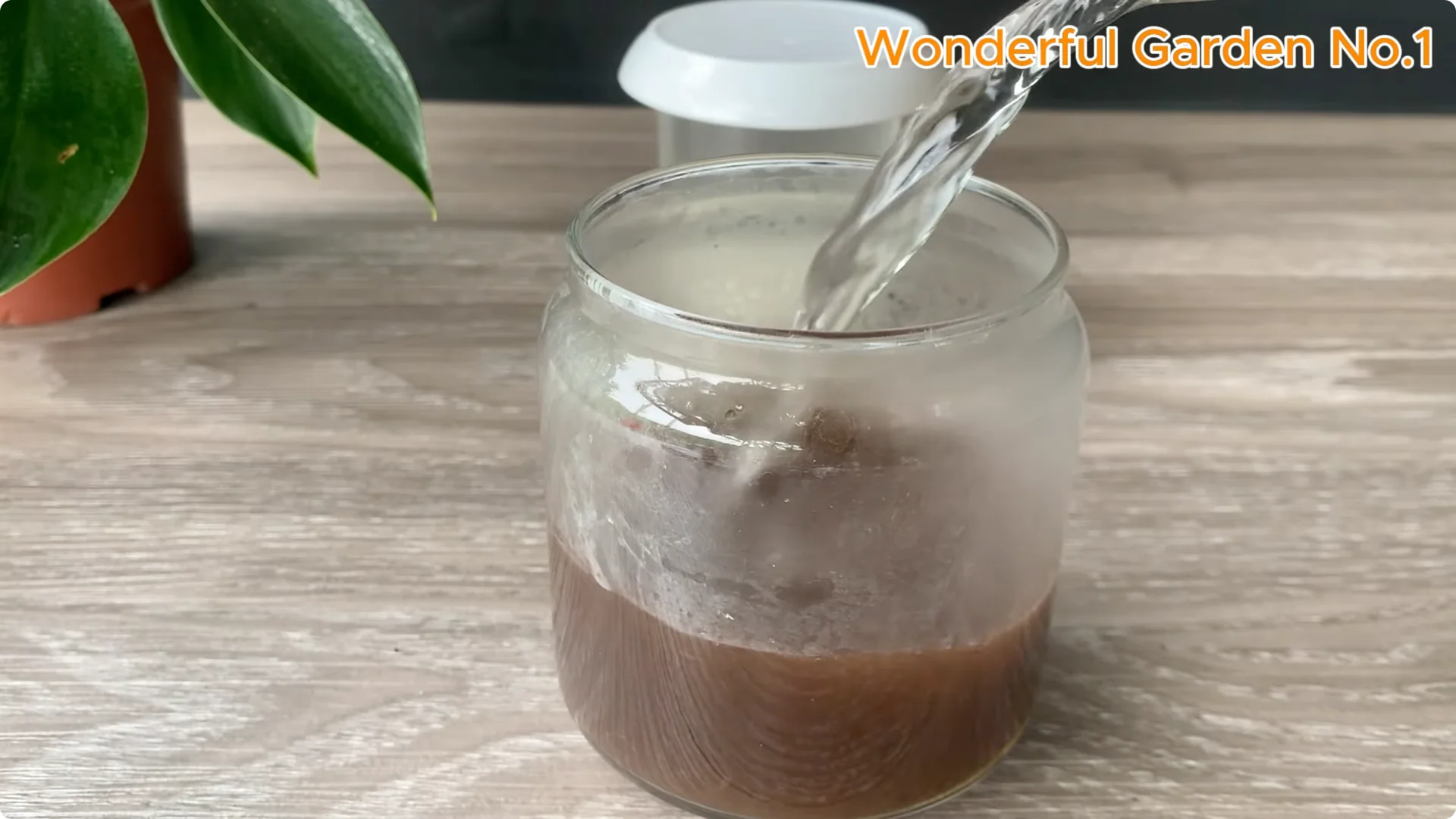 How One Spoon Can Speed Up Rose Cuttings Rooting screenshot 2