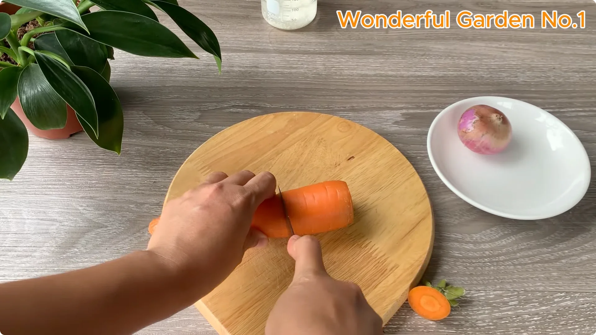 How Soaking Rose Cuttings in Water Sparks Fast Rooting and Blooming screenshot 3