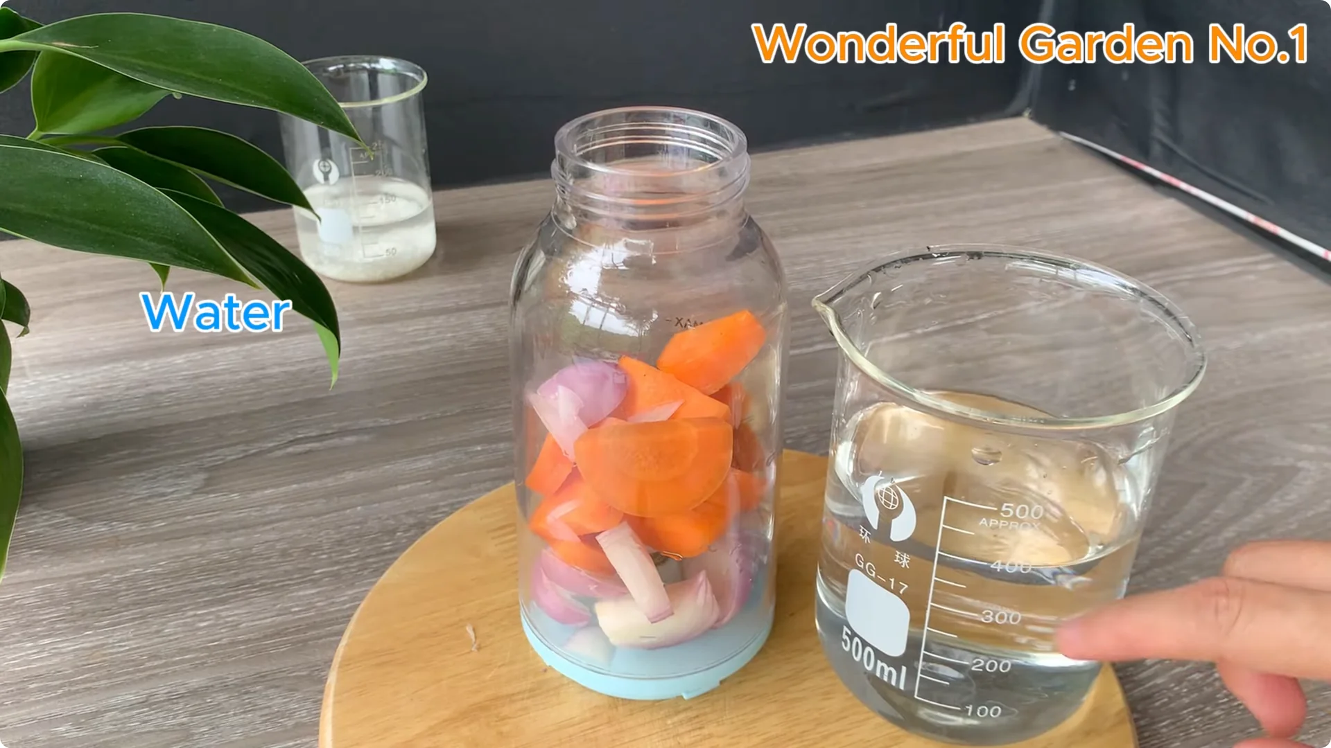 How Soaking Rose Cuttings in Water Sparks Fast Rooting and Blooming screenshot 4