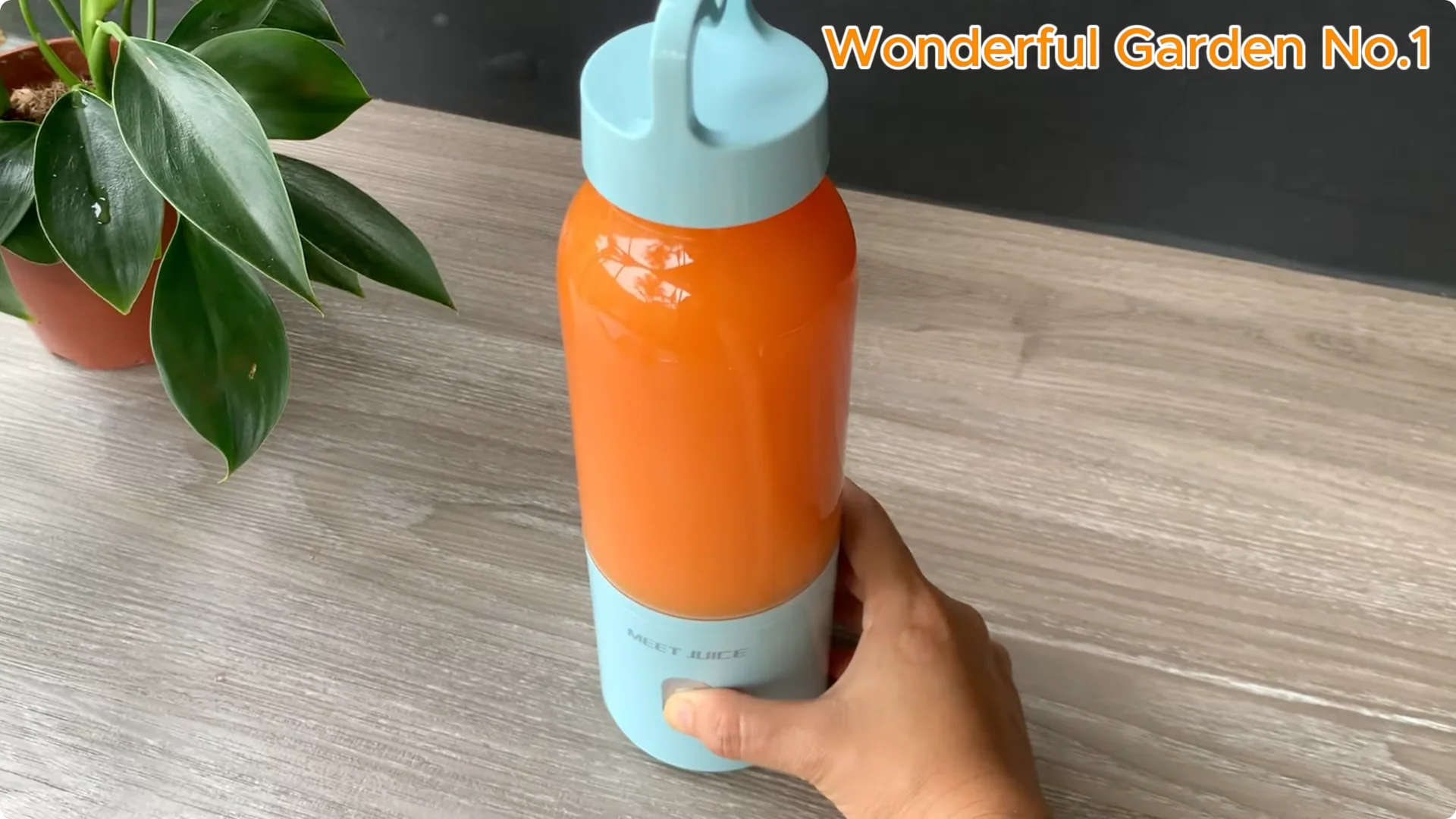 How Soaking Rose Cuttings in Water Sparks Fast Rooting and Blooming screenshot 5