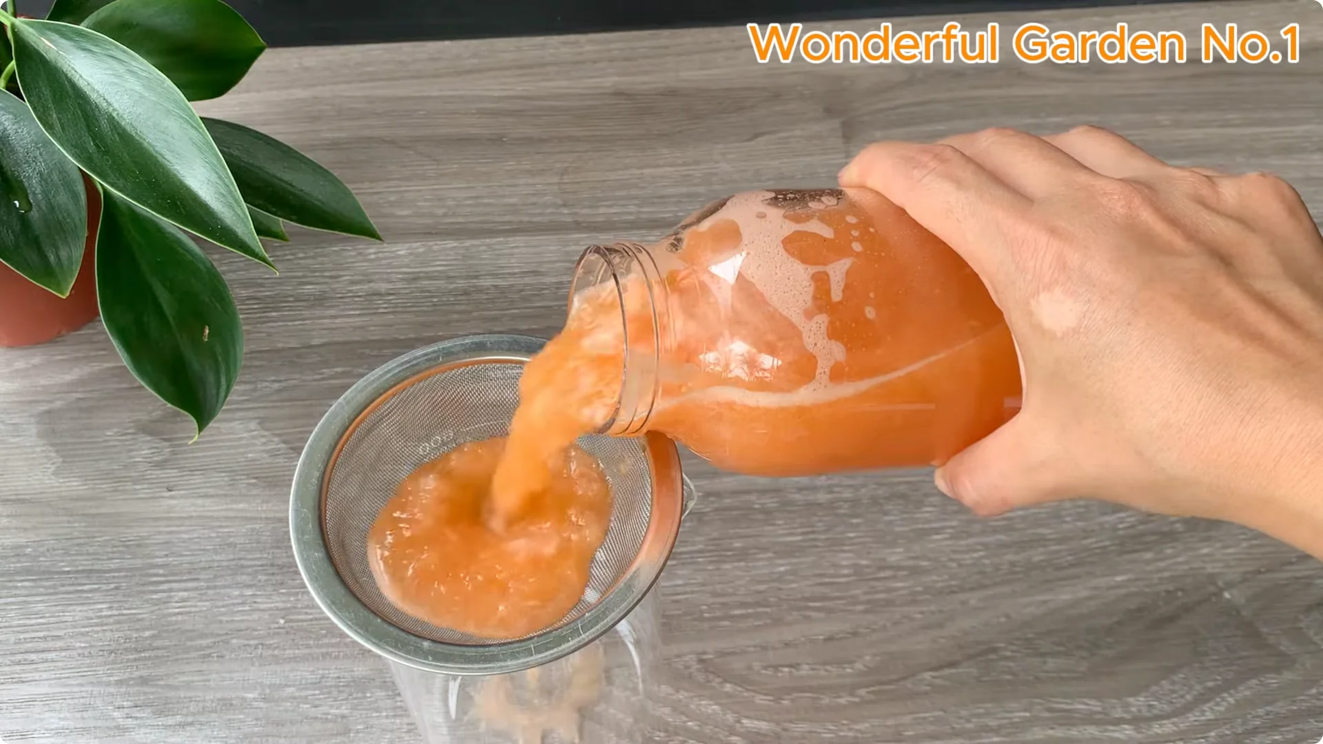 How Soaking Rose Cuttings in Water Sparks Fast Rooting and Blooming screenshot 6