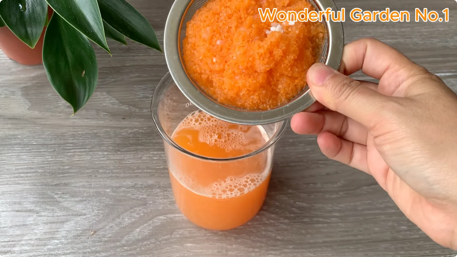 How Soaking Rose Cuttings in Water Sparks Fast Rooting and Blooming screenshot 8