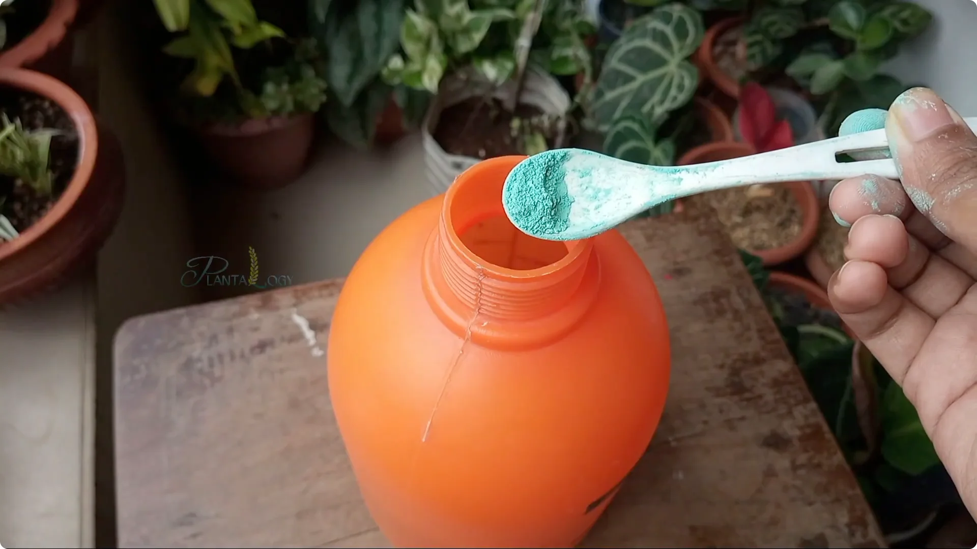 How to Effectively Treat Fungus on Your Plants screenshot 12